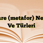 İstiare (metafor) Nedir? Ve Türleri