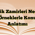 İyelik Zamirleri Nedir? Örneklerle Konu Anlatımı