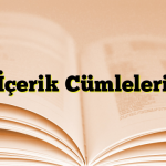 İçerik Cümleleri