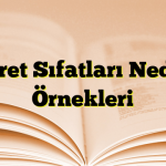 İşaret Sıfatları Nedir? Örnekleri