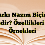 Şarkı Nazım Biçimi Nedir? Özellikleri ve Örnekleri