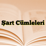 Şart Cümleleri