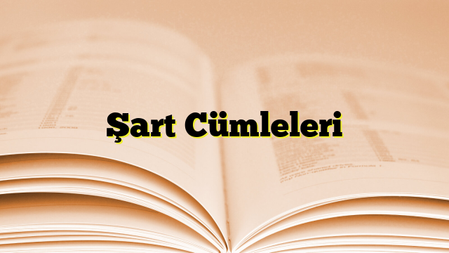 Şart Cümleleri