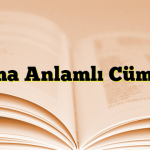 Şaşma Anlamlı Cümleler