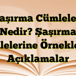 Şaşırma Cümleleri Nedir? Şaşırma Cümlelerine Örnekler ve Açıklamalar