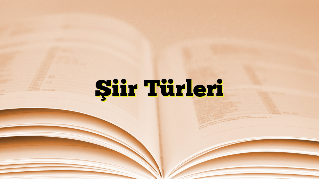 Şiir Türleri