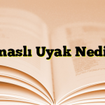 Cinaslı Uyak Nedir?