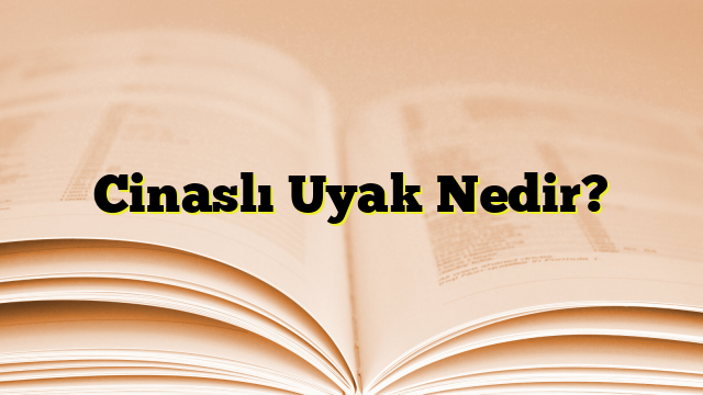 Cinaslı Uyak Nedir?