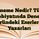 Deneme Nedir? Türk Edebiyatında Deneme Türündeki Eserler ve Yazarları