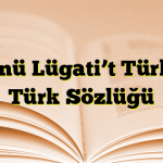 Divanü Lügati’t Türk: İlk Türk Sözlüğü