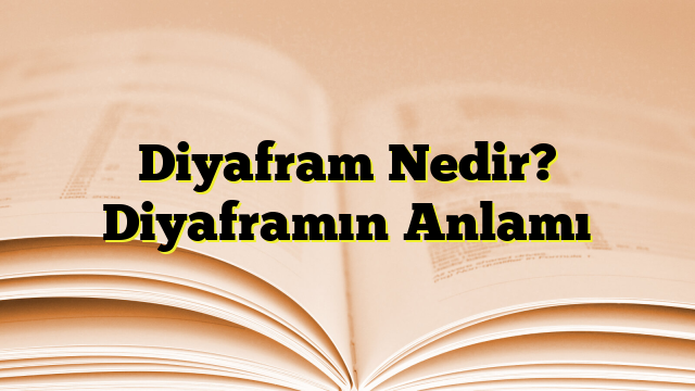 Diyafram Nedir? Diyaframın Anlamı