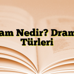 Dram Nedir? Dramın Türleri