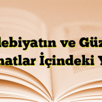 Edebiyatın ve Güzel Sanatlar İçindeki Yeri