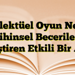 Entelektüel Oyun Nedir? Zihinsel Becerileri Geliştiren Etkili Bir Araç