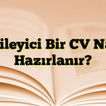 Etkileyici Bir CV Nasıl Hazırlanır?