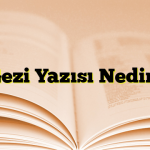 Gezi Yazısı Nedir?