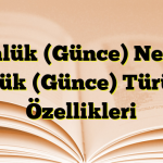 Günlük (Günce) Nedir? Günlük (Günce) Türünün Özellikleri