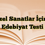 Güzel Sanatlar İçinde Edebiyat Testi