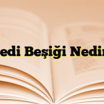 Kedi Beşiği Nedir?