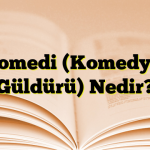 Komedi (Komedya, Güldürü) Nedir?