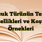 Koşuk Türünün Temel Özellikleri ve Koşuk Örnekleri