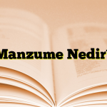 Manzume Nedir?