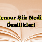 Mensur Şiir Nedir? Özellikleri