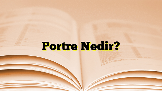 Portre Nedir?