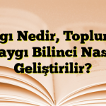 Saygı Nedir, Toplumda Saygı Bilinci Nasıl Geliştirilir?