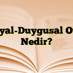 Sosyal-Duygusal Oyun Nedir?