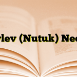 Söylev (Nutuk) Nedir?