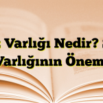 Söz Varlığı Nedir? Söz Varlığının Önemi