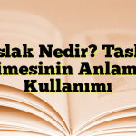 Taslak Nedir? Taslak Kelimesinin Anlamı ve Kullanımı