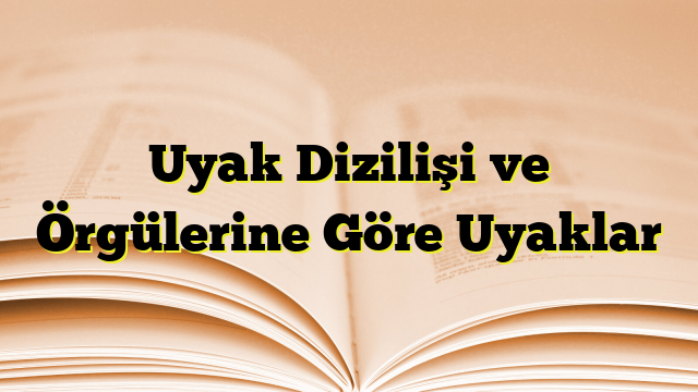 Uyak Dizilişi ve Örgülerine Göre Uyaklar