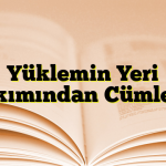 Yüklemin Yeri Bakımından Cümleler