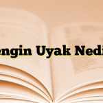 Zengin Uyak Nedir?