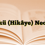 Öykü (Hikâye) Nedir?