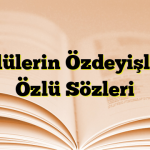 Ünlülerin Özdeyişleri, Özlü Sözleri