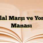 İstiklal Marşı ve Yorumu Manası