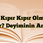 İçi Kıpır Kıpır Olmak Nedir? Deyiminin Anlamı