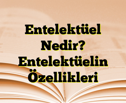 Entelektüel Nedir? Entelektüelin Özellikleri