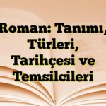 Roman: Tanımı, Türleri, Tarihçesi ve Temsilcileri