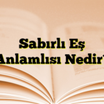 Sabırlı Eş Anlamlısı Nedir?