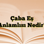 Çaba Eş Anlamlısı Nedir?